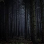 When Evidence Calms Fear