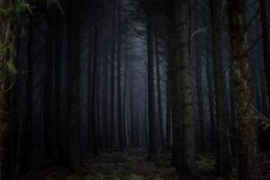 Read more about the article When Evidence Calms Fear