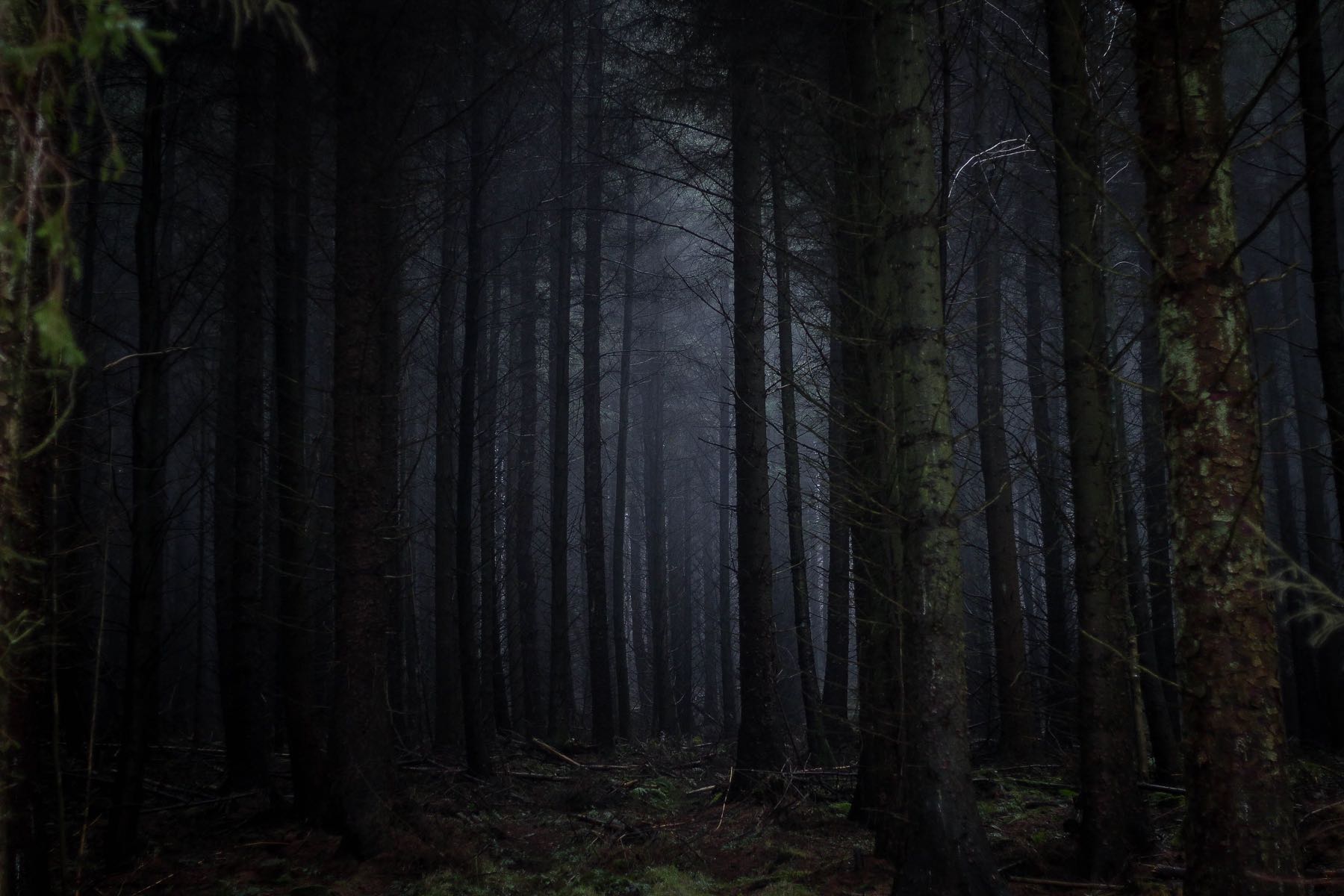 Read more about the article When Evidence Calms Fear